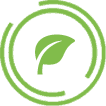 Leaf Graphic